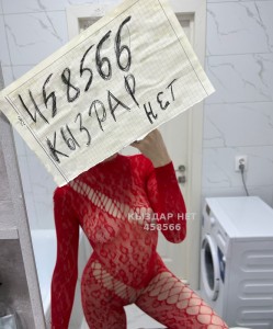 Проститутка Шымкента Девушка№458566 Ммс Фотография №3502535