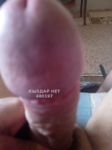 Жиголо Темиртау Парень№480197 Алексей Фотография №3627934