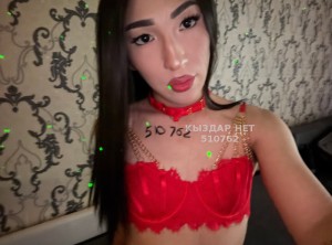 Транс Алматы Транс№510762 Milenda Фотография №3820098