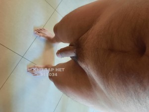 Жиголо Алматы Анкета №518034 Фотография №3864709