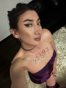 Транс Астаны Транс№45397 Дуэт Фотография №3919480