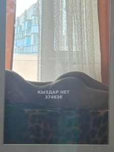 Жиголо Караганды Парень№374636 Asylkhan Фотография №3928850