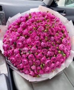 Проститутка Тараза Девушка№524259 Массаж Фотография №3931721