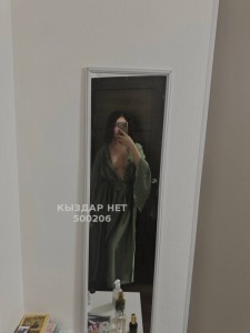 Транс Алматы Транс№500206 Luna последние дни Фотография №3933008