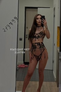 Транс Алматы Транс№219799 Д-И-Н-А Метиска Фотография №3941852