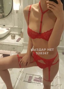 Проститутка Алматы Девушка№528247 Danna Фотография №3943559