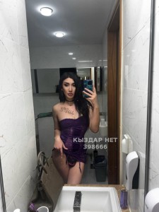 Транс Астаны Транс№398666 Honey Фотография №3944576